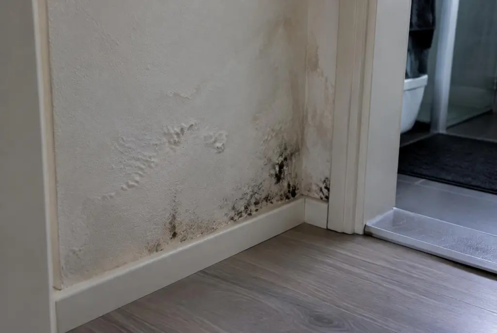 Lekdetectie Doesburg – vochtplek met schimmel op een muur